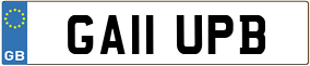 Truck License Plate
